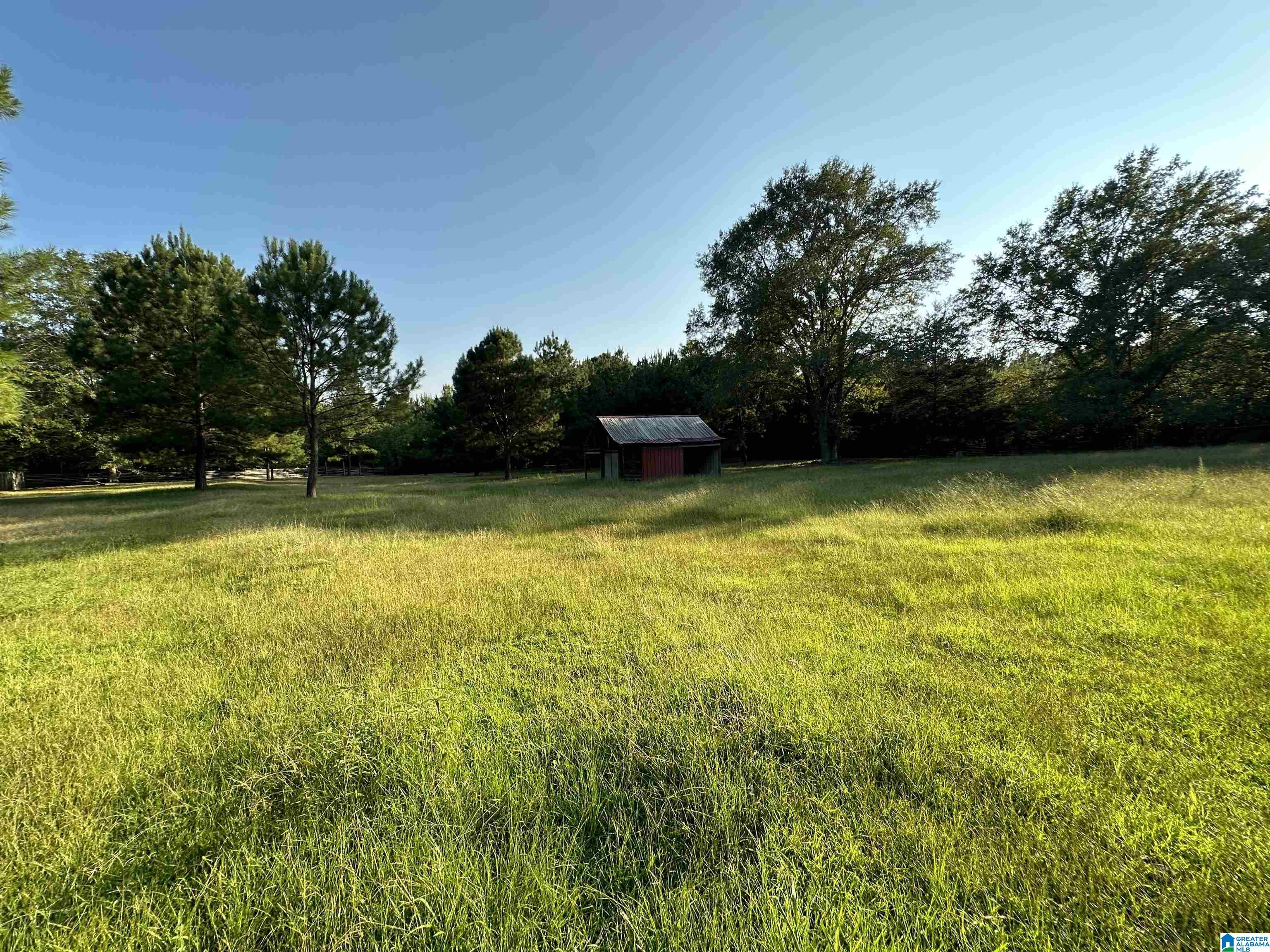 0 Honeycut Road Randolph, AL 36792 - Photo 8 of 29