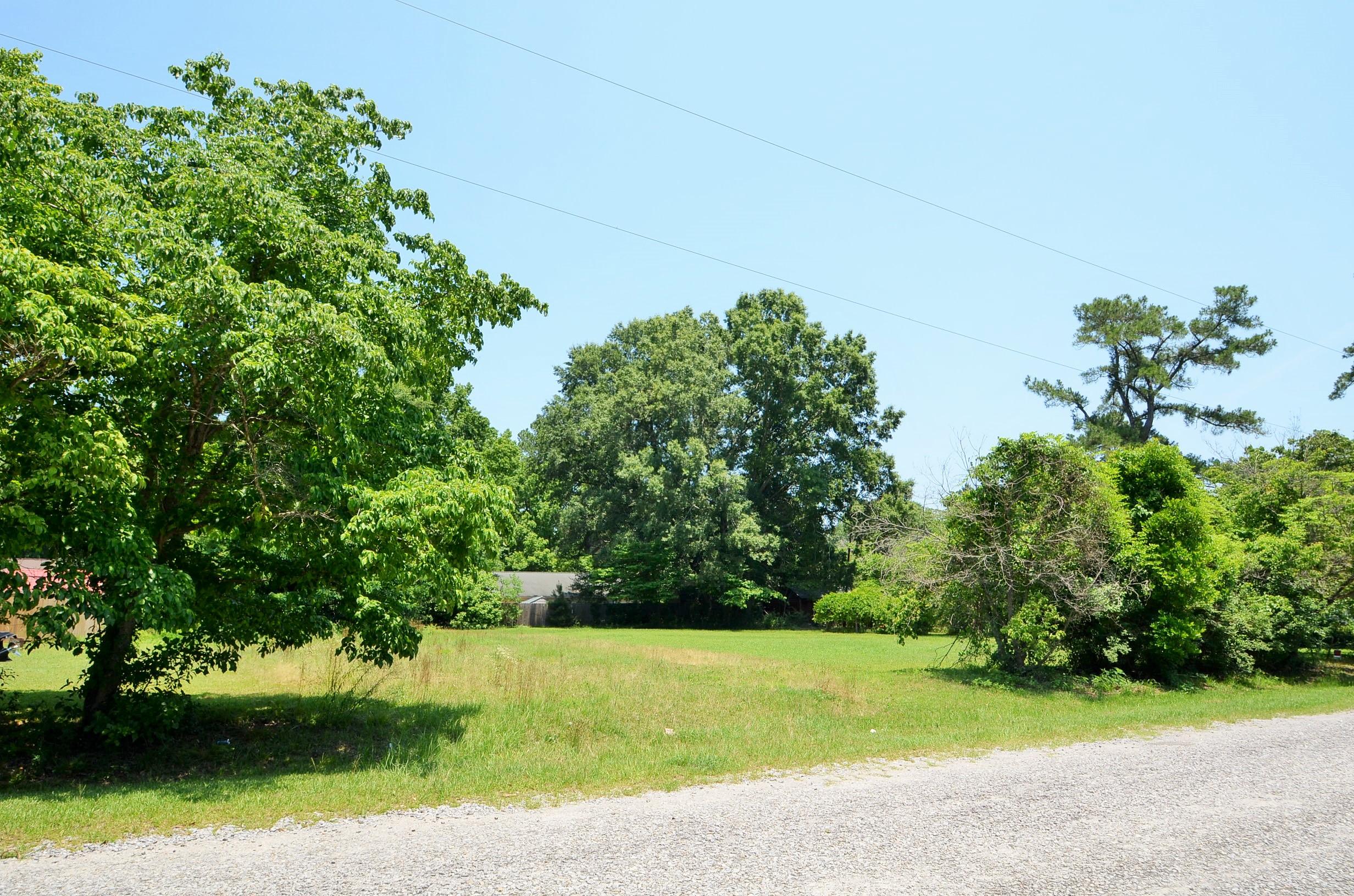 0 Birch Street Moncks Corner, SC 29461 - Photo 1 of 3 DSC_0053