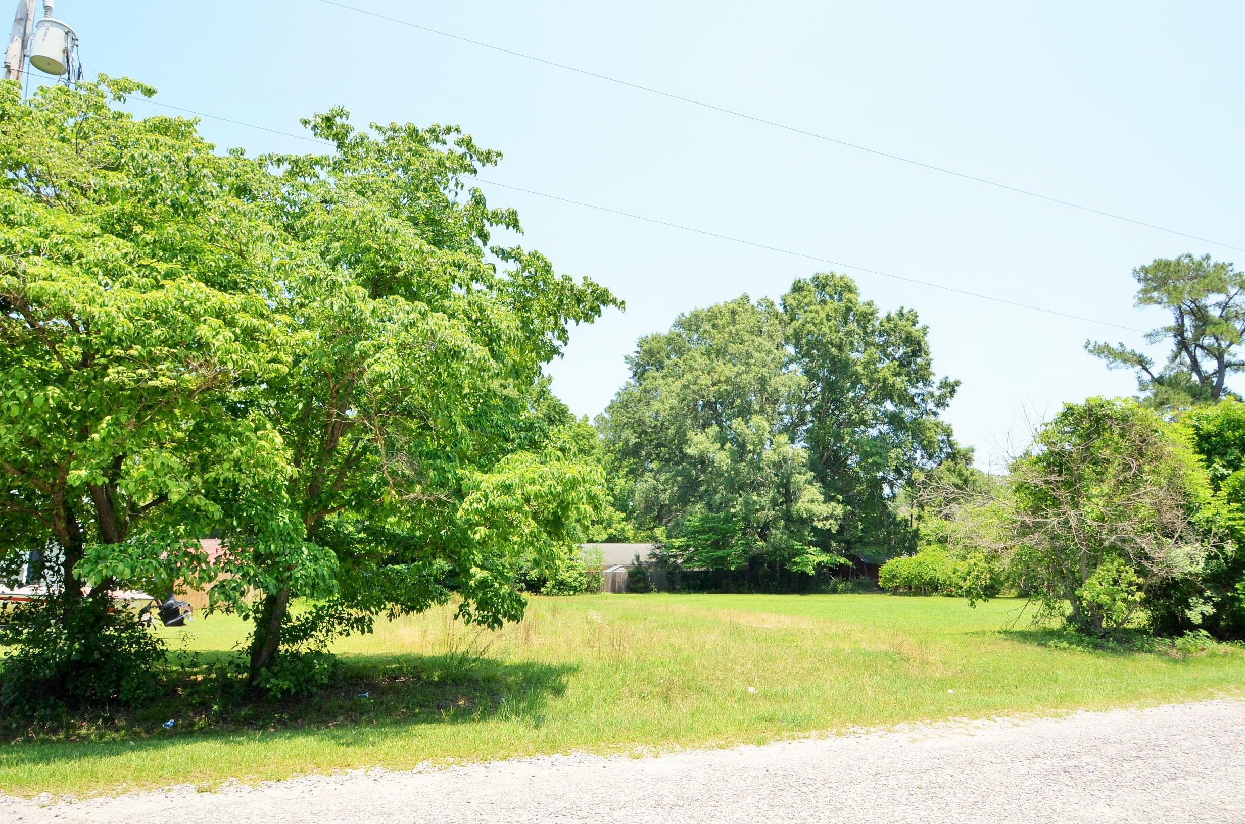 0 Birch Street Moncks Corner, SC 29461 - Photo 2 of 3 DSC_0052
