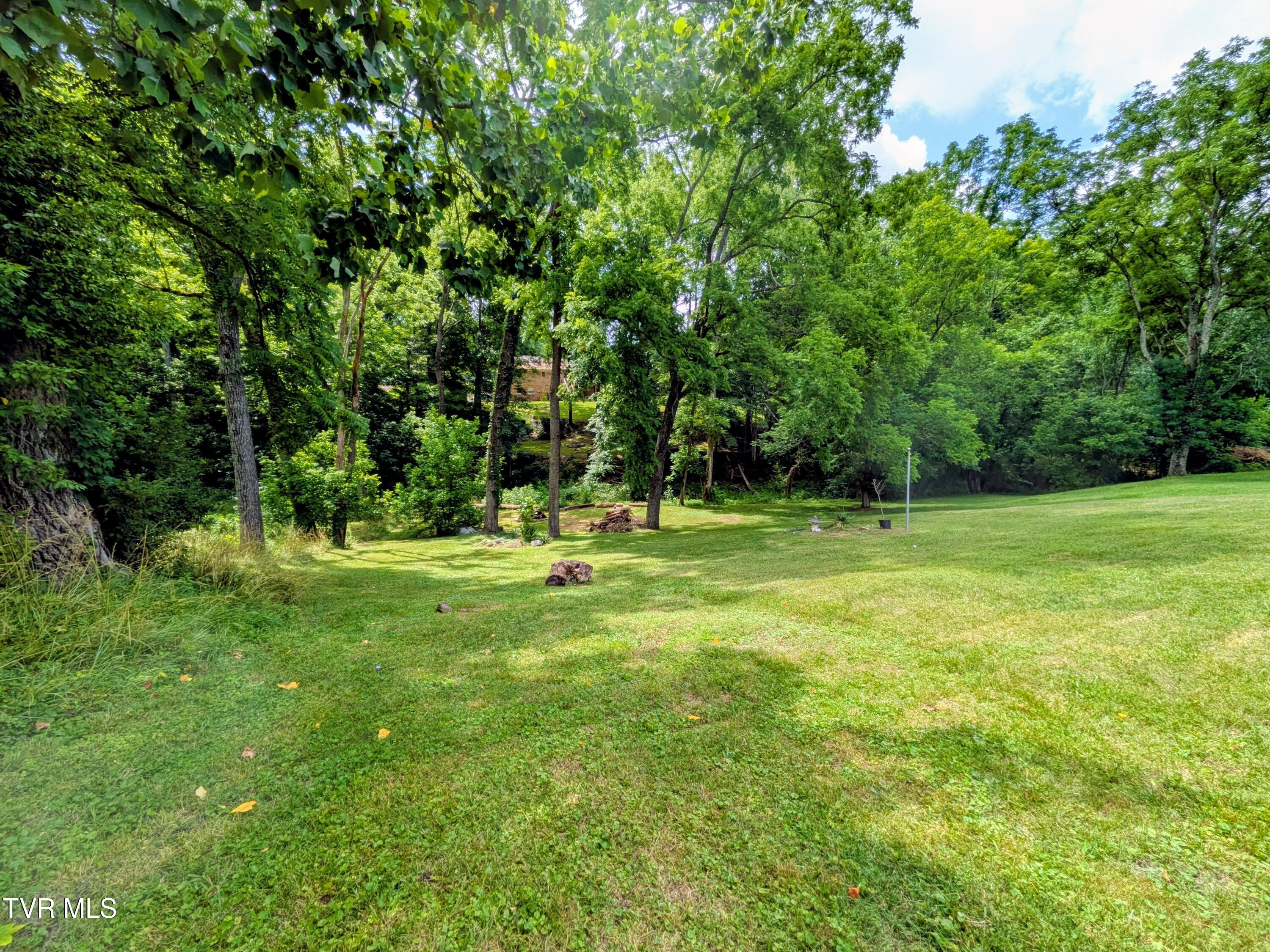 1129 Jackson Hollow Road Kingsport, TN 37663 - Photo 59 of 59 Backyard(9)