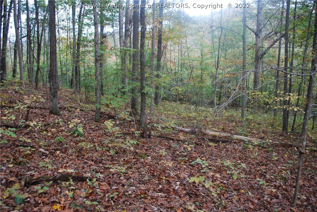 4122 Palestine Ridge Road Ashton, WV 25503 - Photo 25 of 26 Gallery Image 25