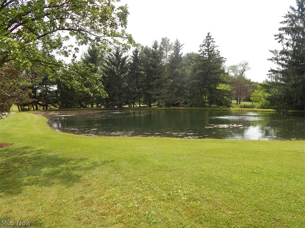 7577 Stone Road Medina, OH 44256 - Photo 19 of 35 Gallery Image 19