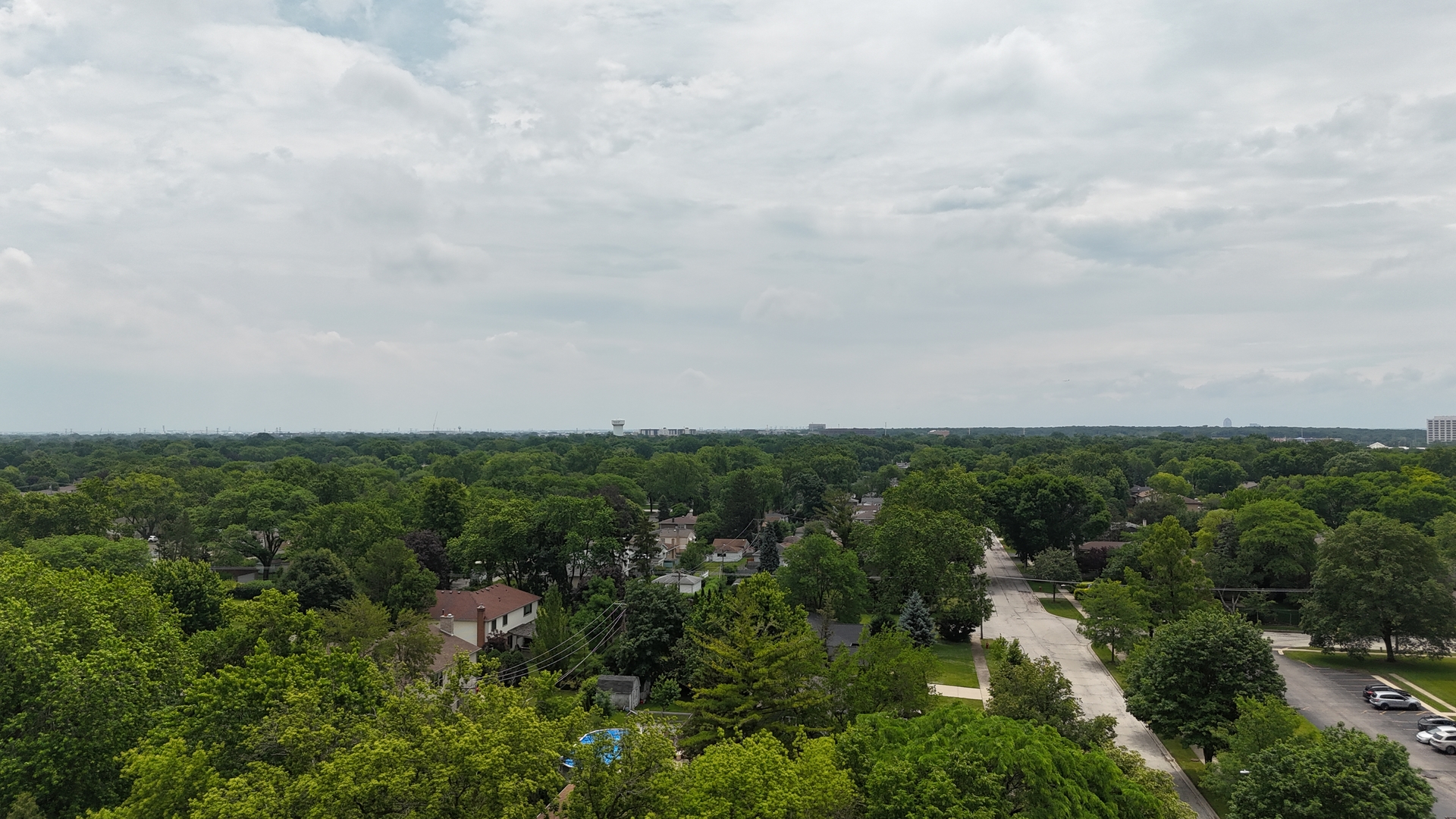 1017 South Ridge Avenue Arlington Heights, IL 60005 - Photo 10 of 12