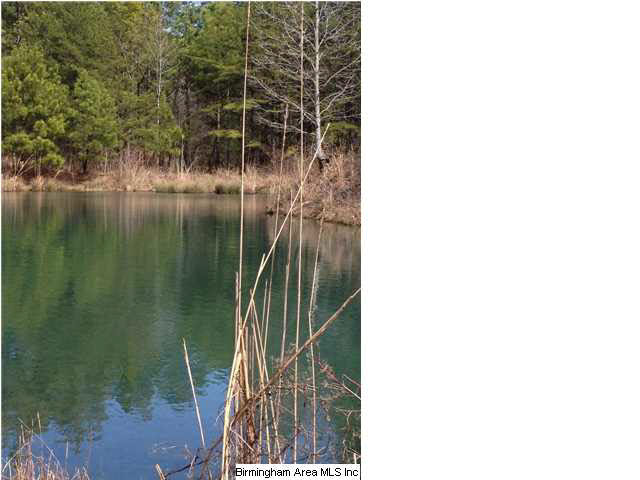 8442 Groundhog Road, Unit 225 AC Adger, AL 35006 - Photo 23 of 23
