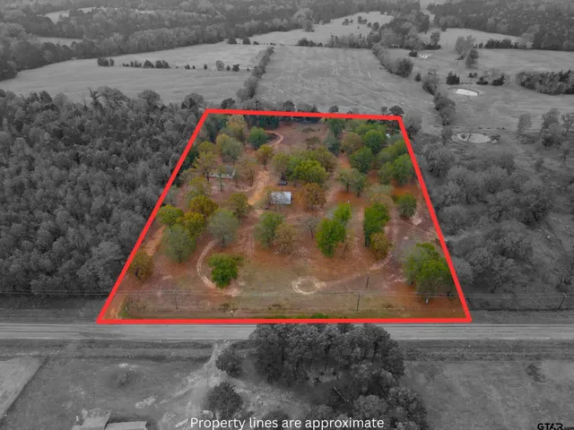 a view of a yard with a wooden fence