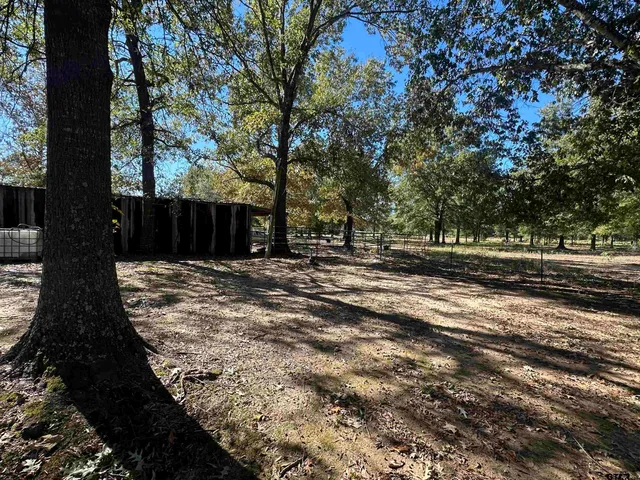 a view of backyard with wooden fence and a large tree