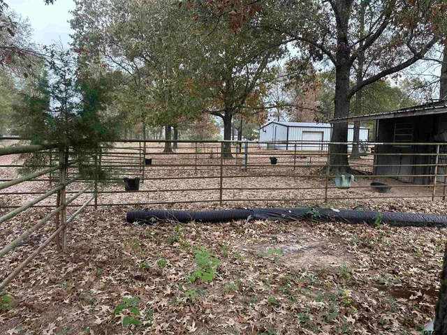 a view of a yard with a tree