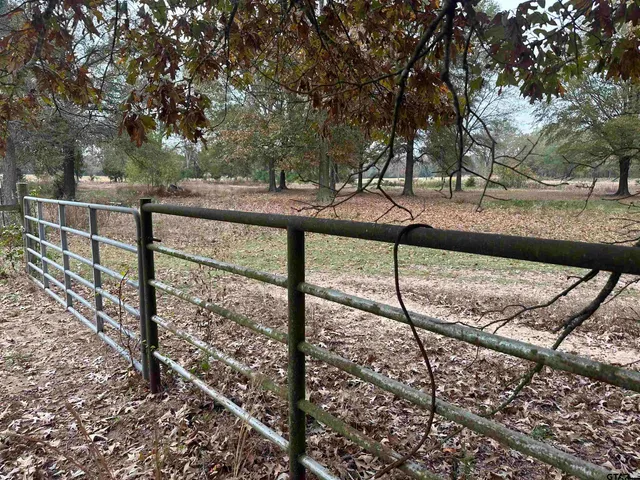 a view of a yard with wooden fence