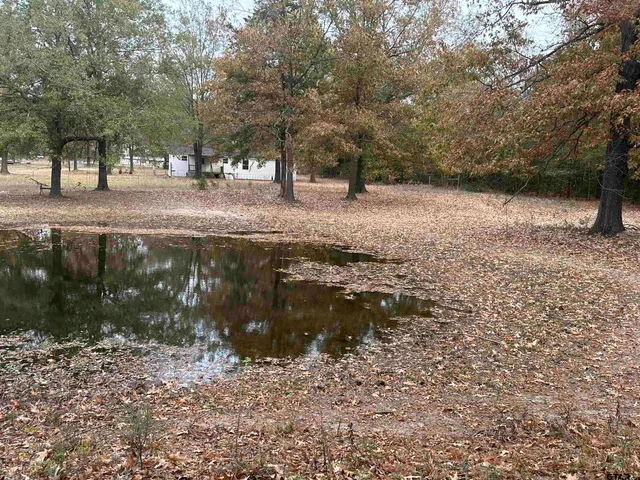 a view of outdoor space with trees