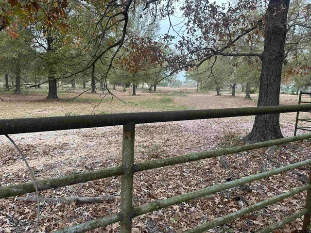 a view of backyard of house