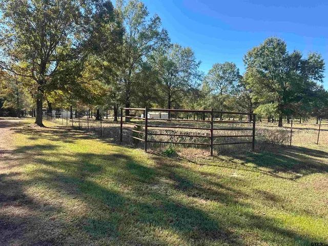 a view of a yard with trees