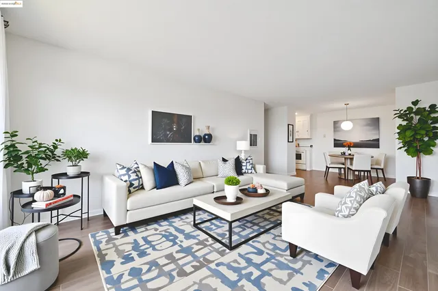a living room with furniture a rug and a potted plant