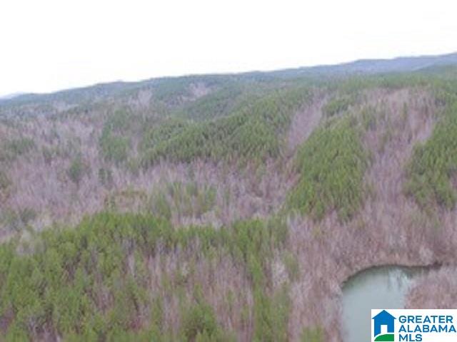 224 County Road, Unit 42 Piedmont, AL 36272 - Photo 6 of 7