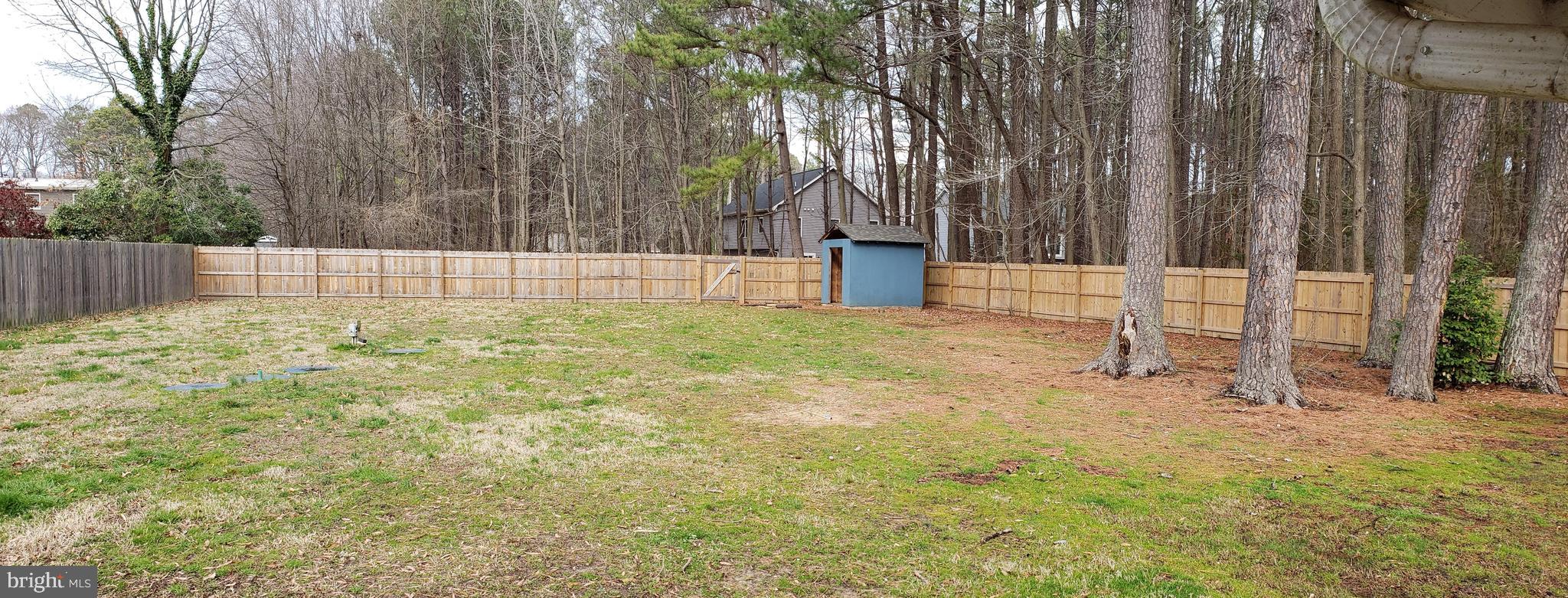 121 Talbot Road Stevensville, MD 21666 - Photo 10 of 12 Large fenced back yard