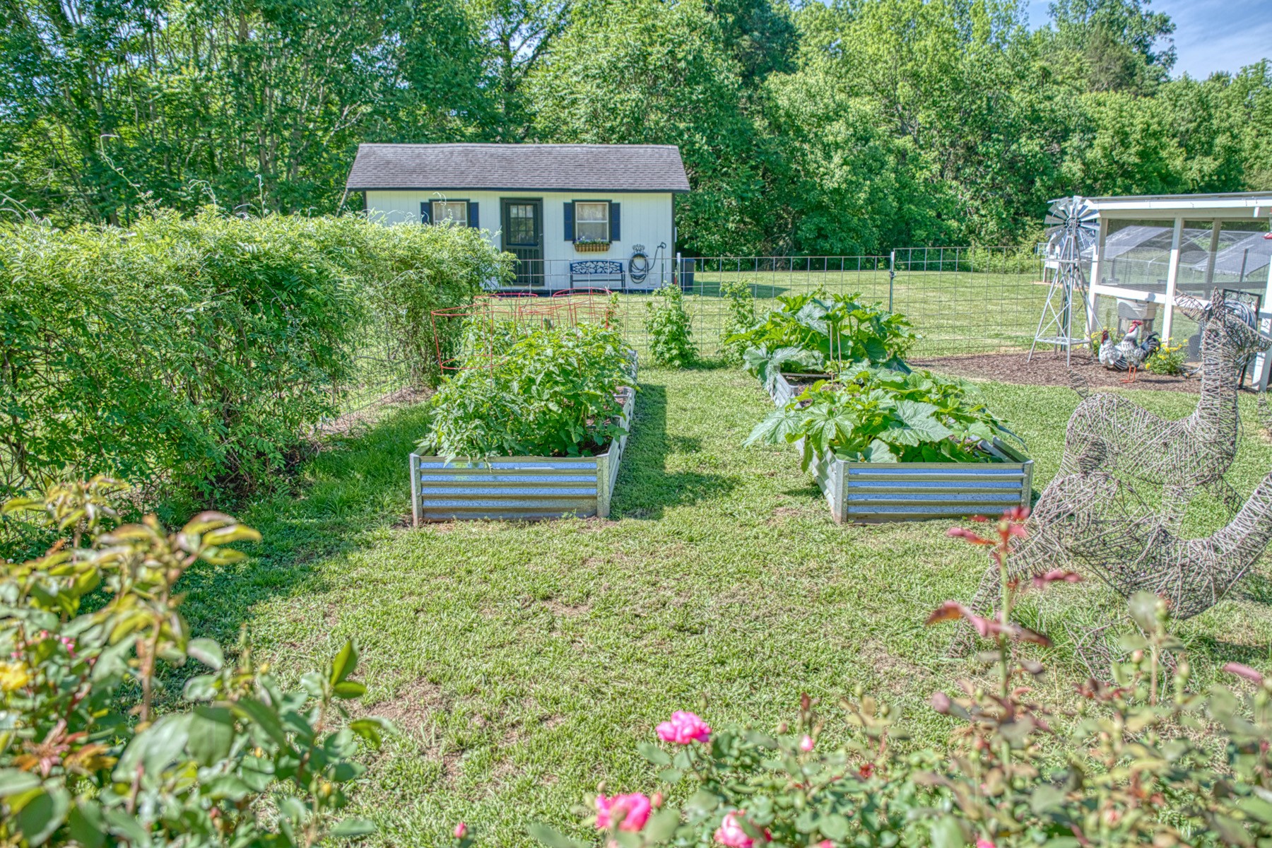 427 Frank Sims Road Sparta, TN 38583 - Photo 36 of 46