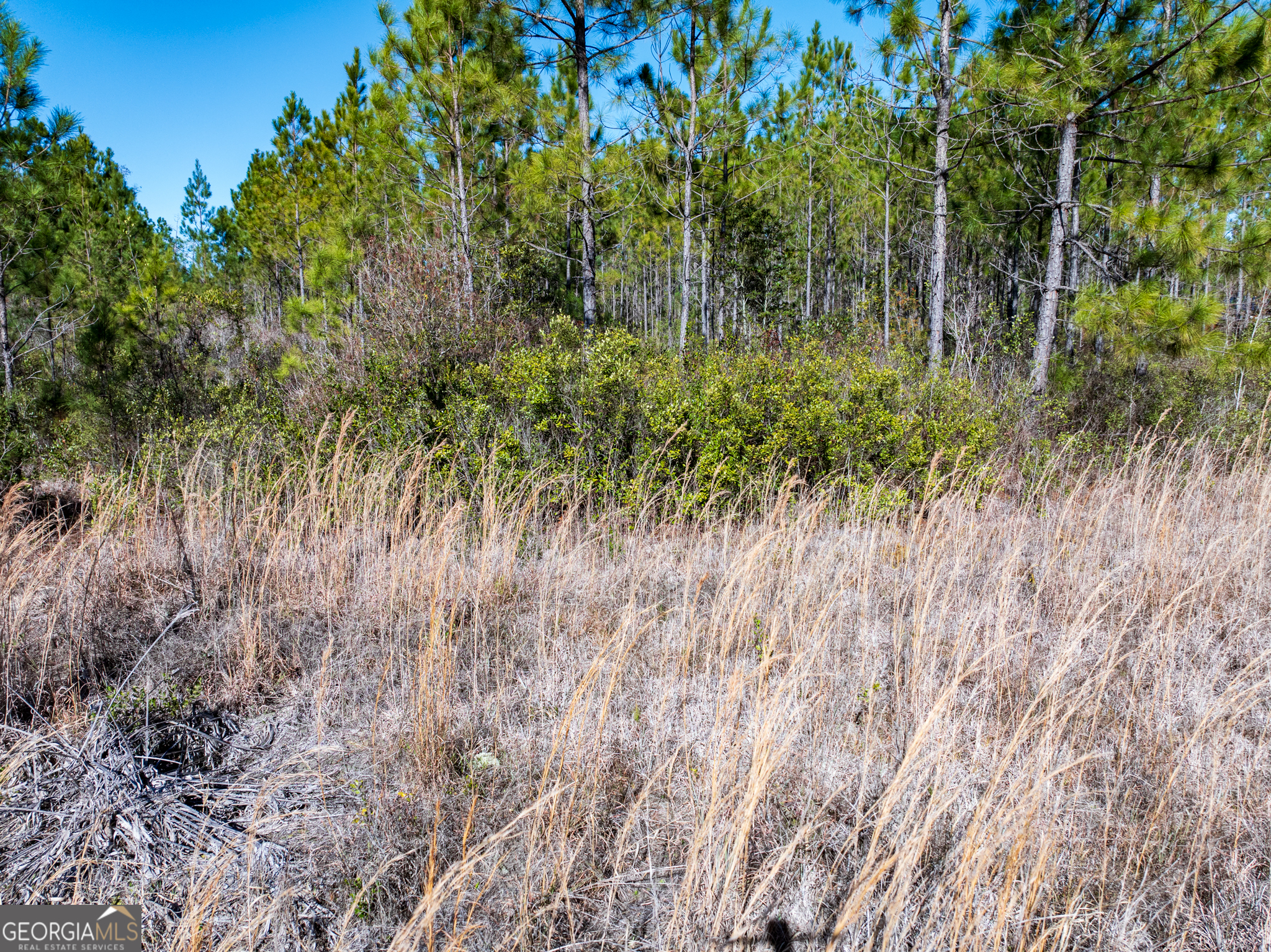 15.5-acres North Mcdonald Road Waycross, GA 31503 - Photo 5 of 21