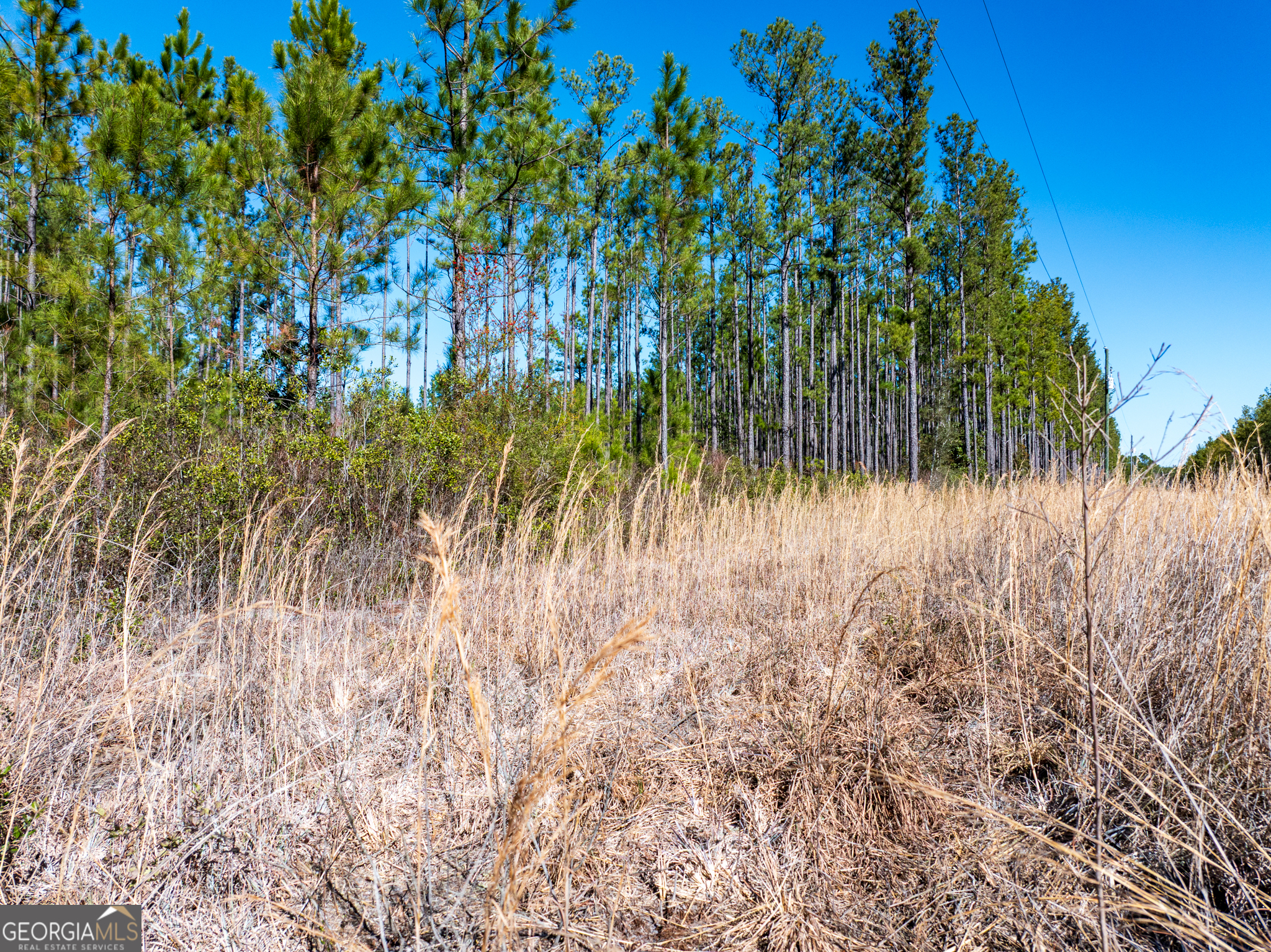 15.5-acres North Mcdonald Road Waycross, GA 31503 - Photo 7 of 21