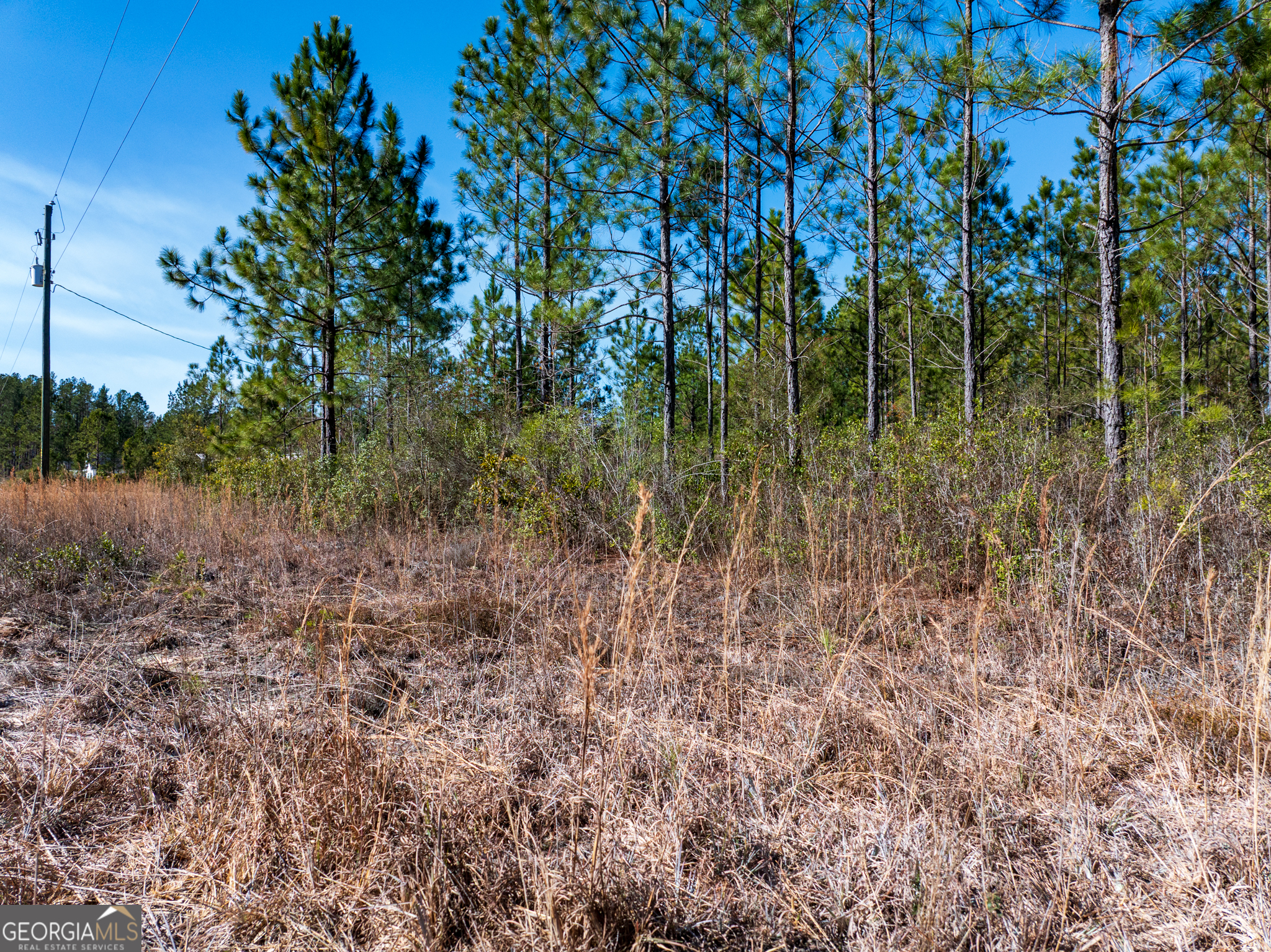 15.5-acres North Mcdonald Road Waycross, GA 31503 - Photo 8 of 21