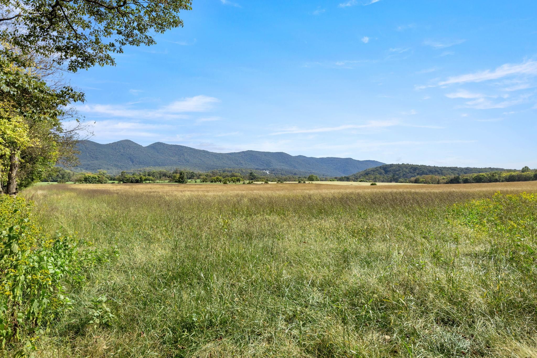 228 Old Farm Road Shenandoah, VA 22849 - Photo 43 of 53 Gallery Image 43