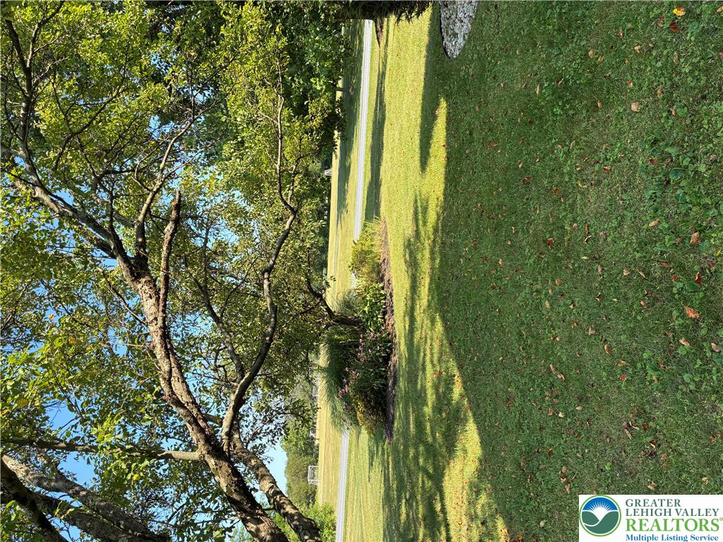 3843 Eagle Road Slatington, PA 18080 - Photo 10 of 47 A well-maintained lawn stretches under a canopy of mature trees, offering ample outdoor space.