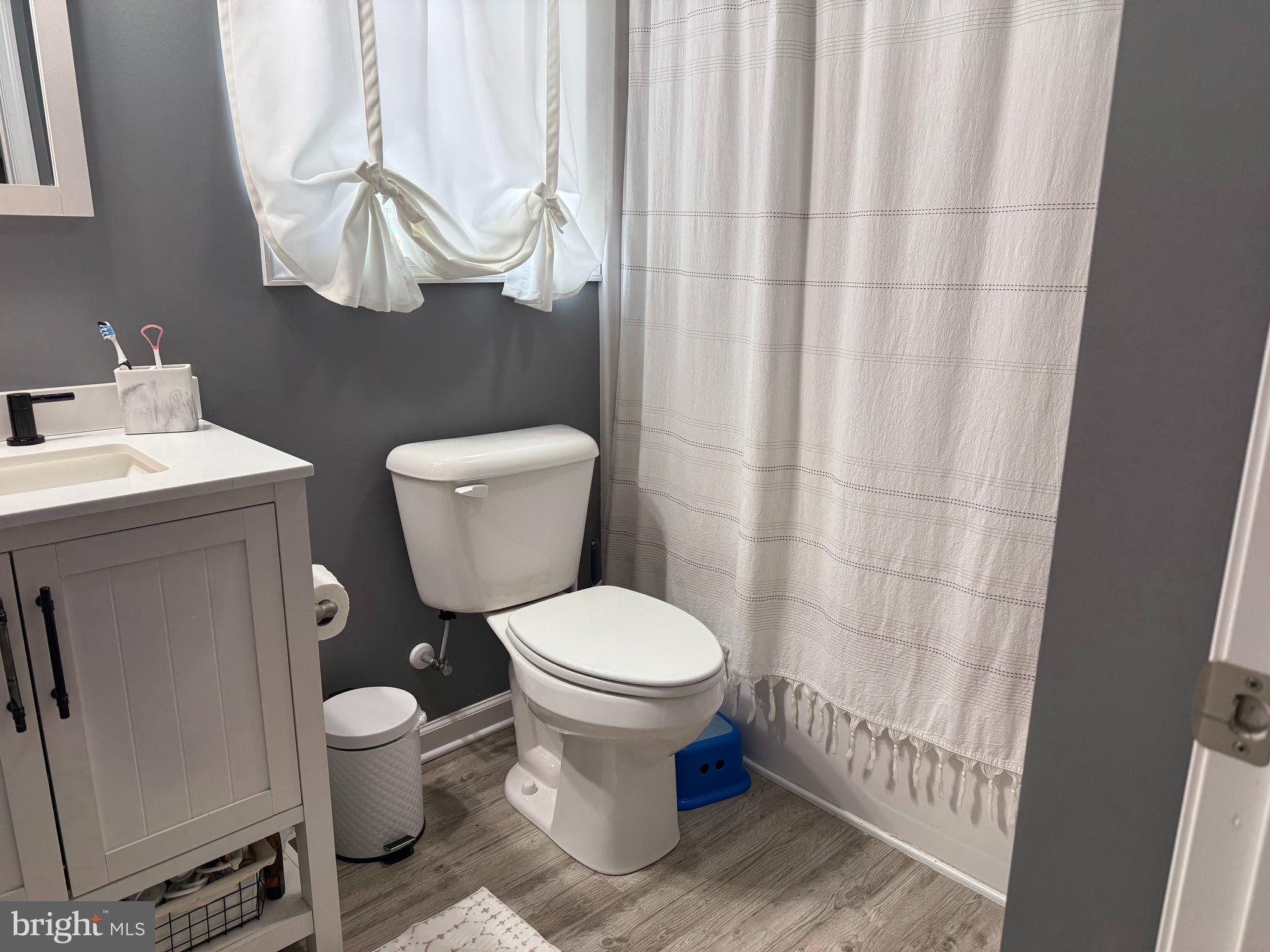 113 State Street Sharptown, MD 21861 - Photo 6 of 18 a bathroom with a toilet and a sink