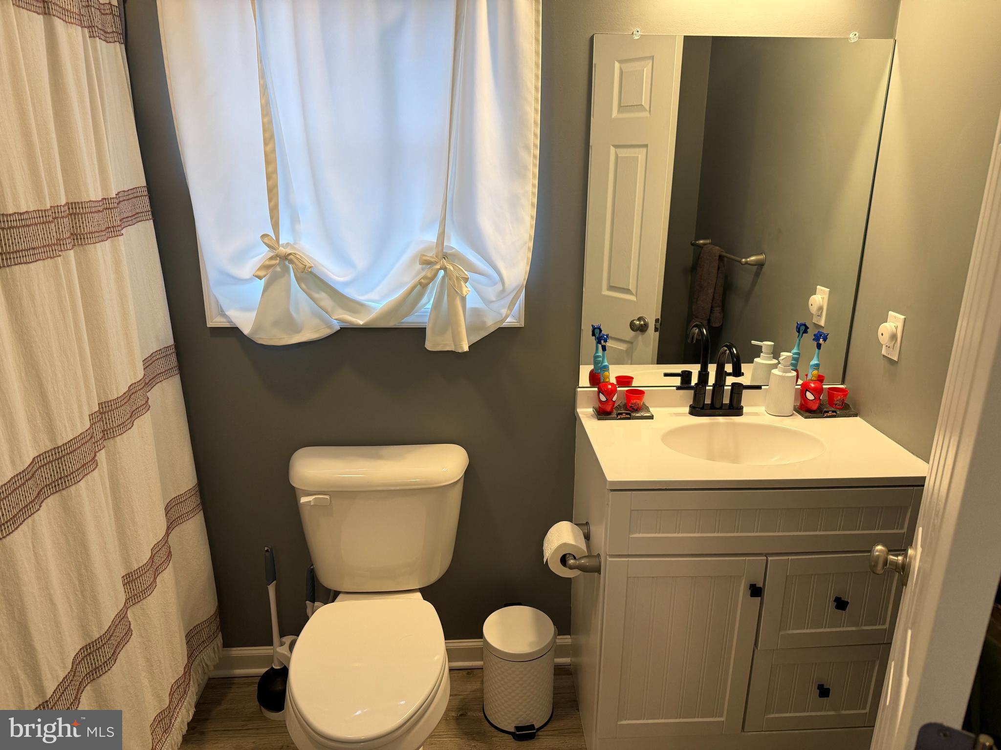 113 State Street Sharptown, MD 21861 - Photo 9 of 18 a bathroom with a sink a toilet a mirror and shower curtain