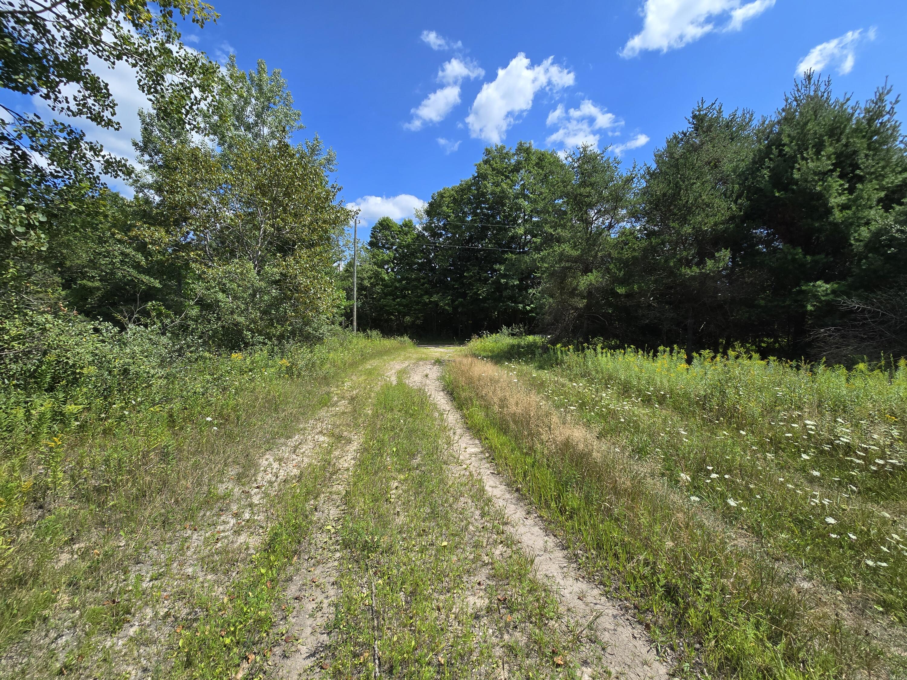 Leckrone Road Brethren, MI 49619 - Photo 4 of 8 20240813_140513 (1)