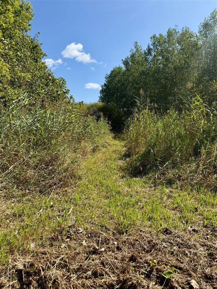 V/l Cade Road Capac, MI 48014 - Photo 19 of 43 Gallery Image 19