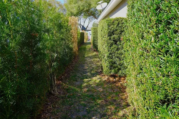 a view of outdoor space and garden