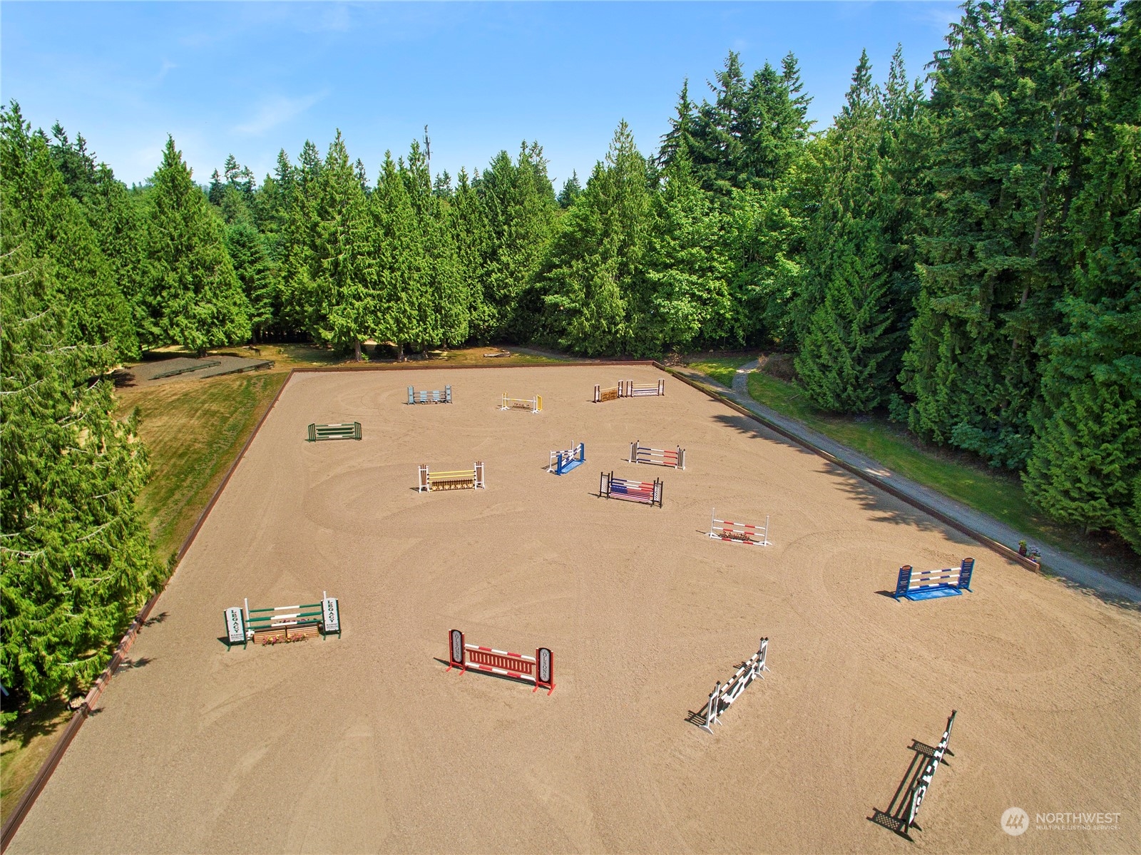 24221 Northeast Union Hill Road Redmond, WA 98053 - Photo 5 of 40 a view of a big yard with plants
