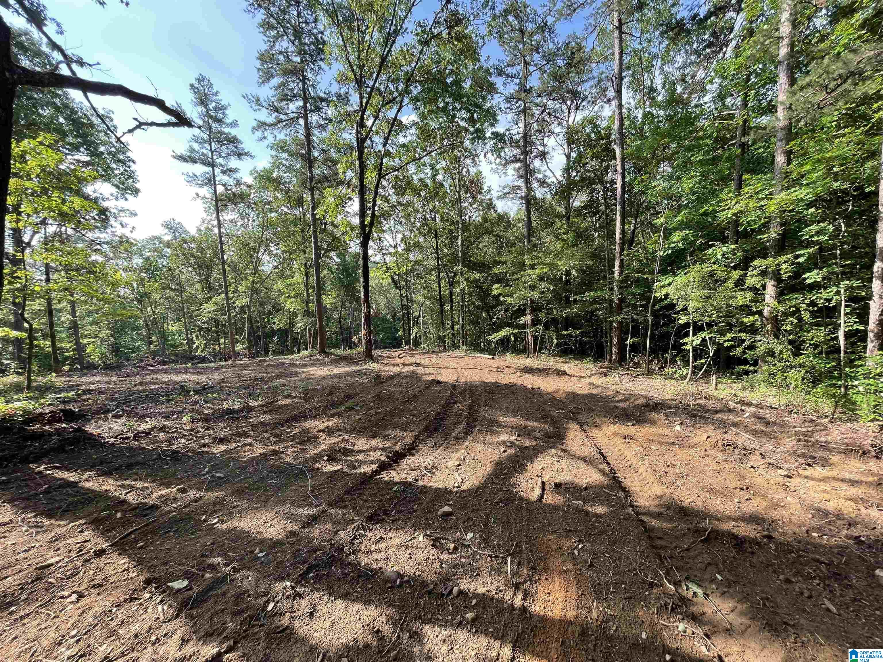 0 Scenic Road Jacksonville, AL 36265 - Photo 18 of 42