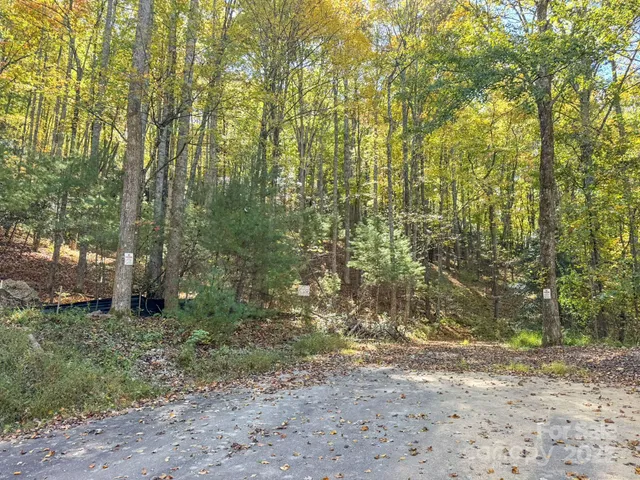 a view of a yard with a tree