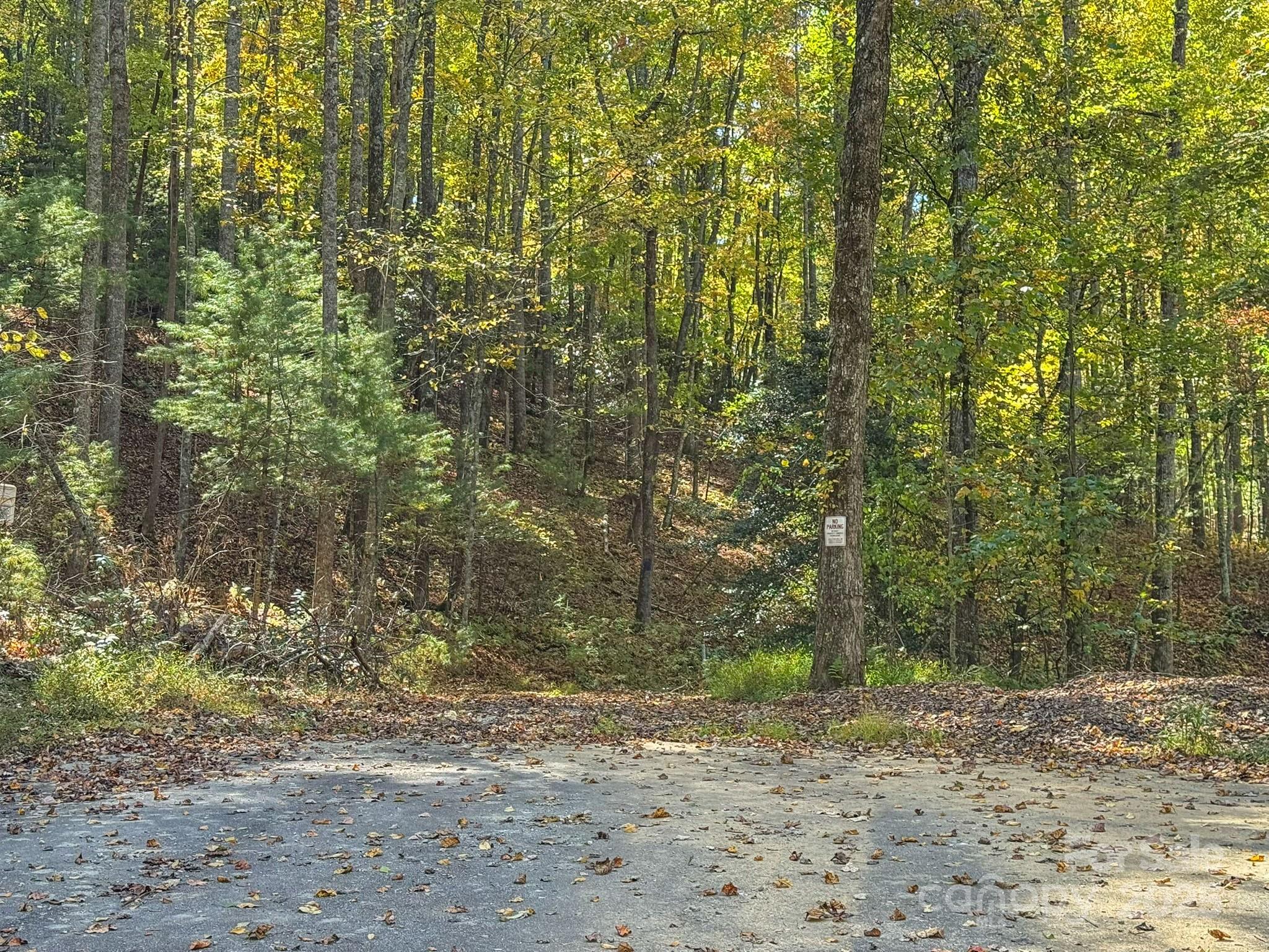 345 Christa Lane Arden, NC 28704 - Photo 17 of 25 a view of a road with plants and trees