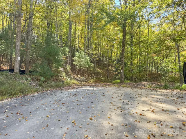 a view of a forest with mountains in the background