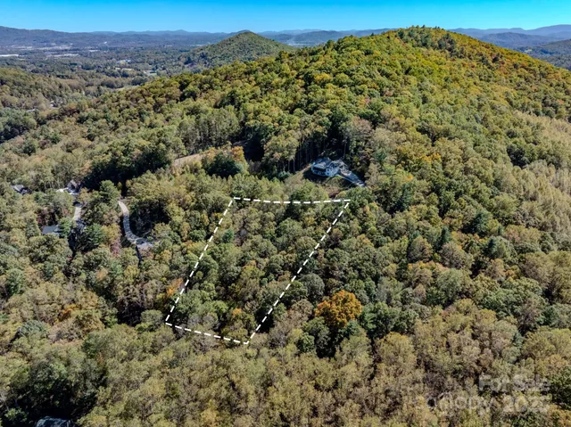 a view of a forest with a forest