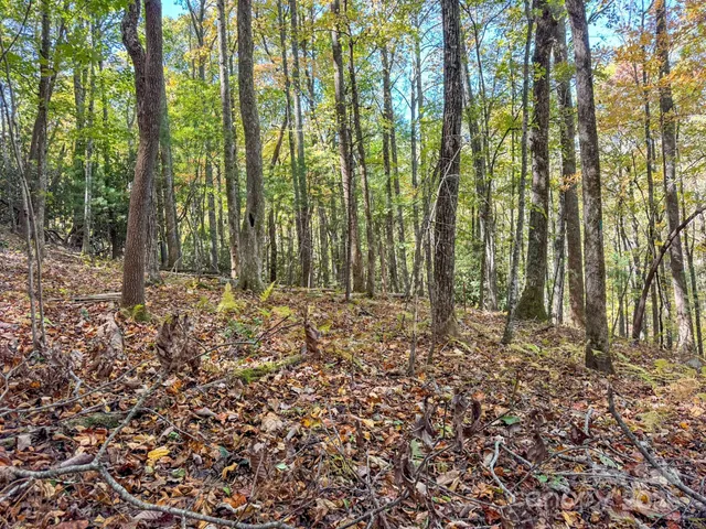 a view of outdoor space with deck and yard