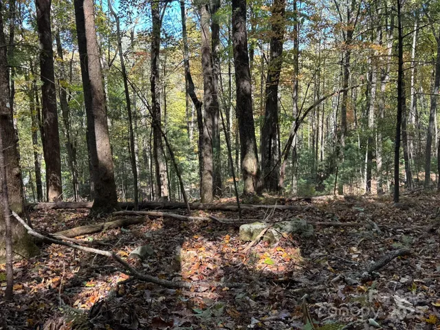 a view of a yard with a tree
