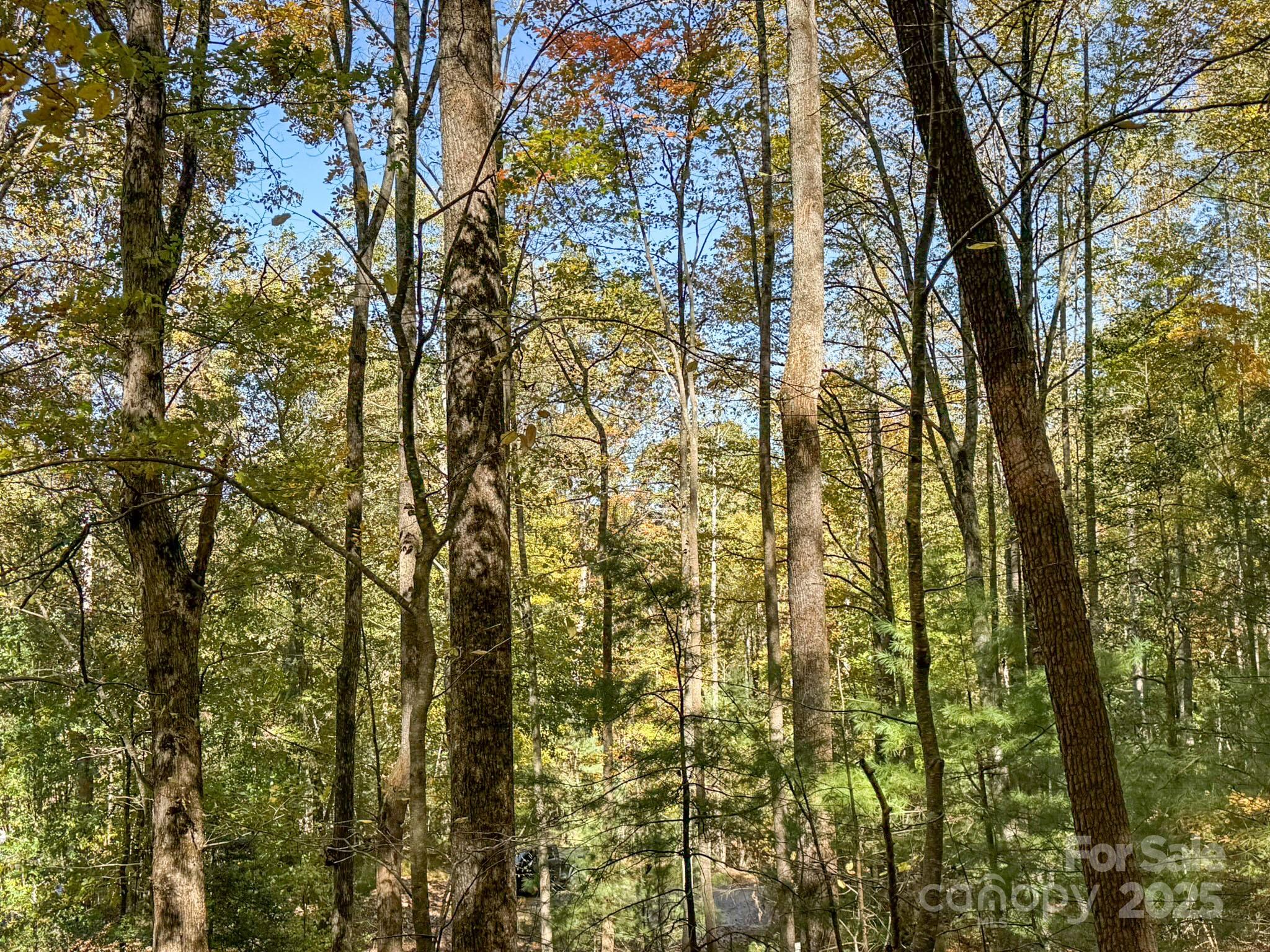 345 Christa Lane Arden, NC 28704 - Photo 9 of 25