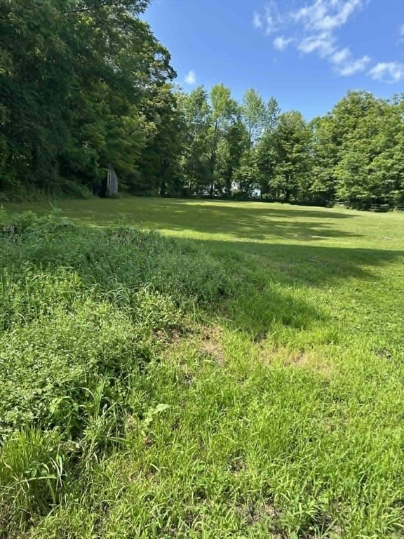 295 Old Post Road Worthington, MA 01098 - Photo 31 of 42 Gallery Image 31