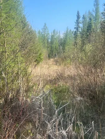 $149,900 | 356 Co Road, Daggett, MI 49821