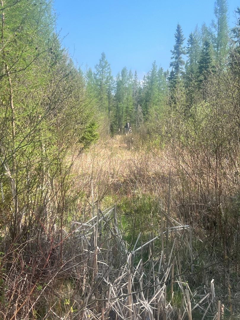 356 Co Road Daggett, MI 49821 - Photo 3 of 11