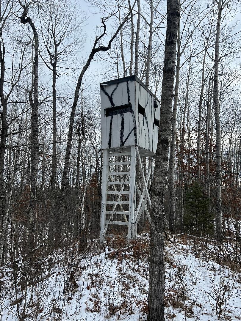 356 Co Road Daggett, MI 49821 - Photo 4 of 11