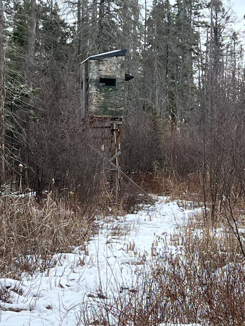 356 Co Road Daggett, MI 49821 - Photo 6 of 11