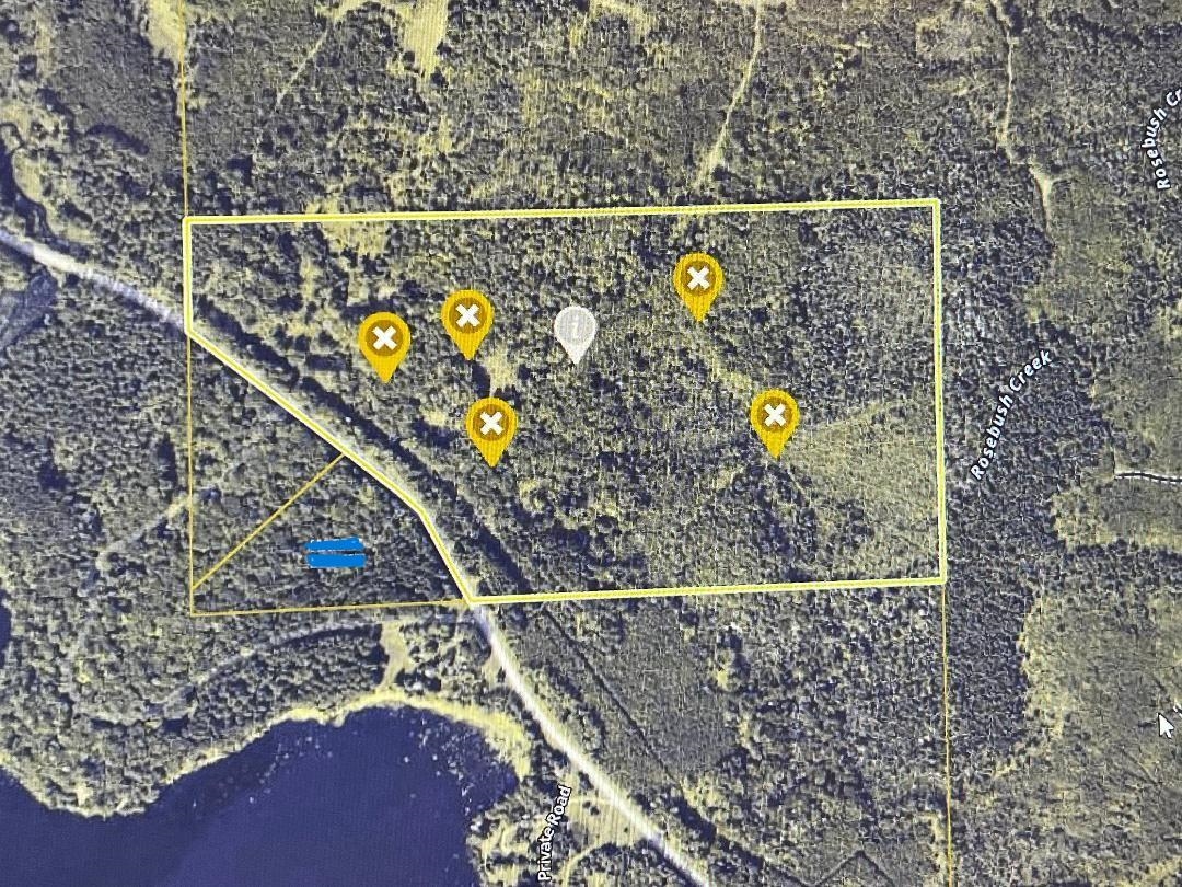 356 Co Road Daggett, MI 49821 - Photo 8 of 11