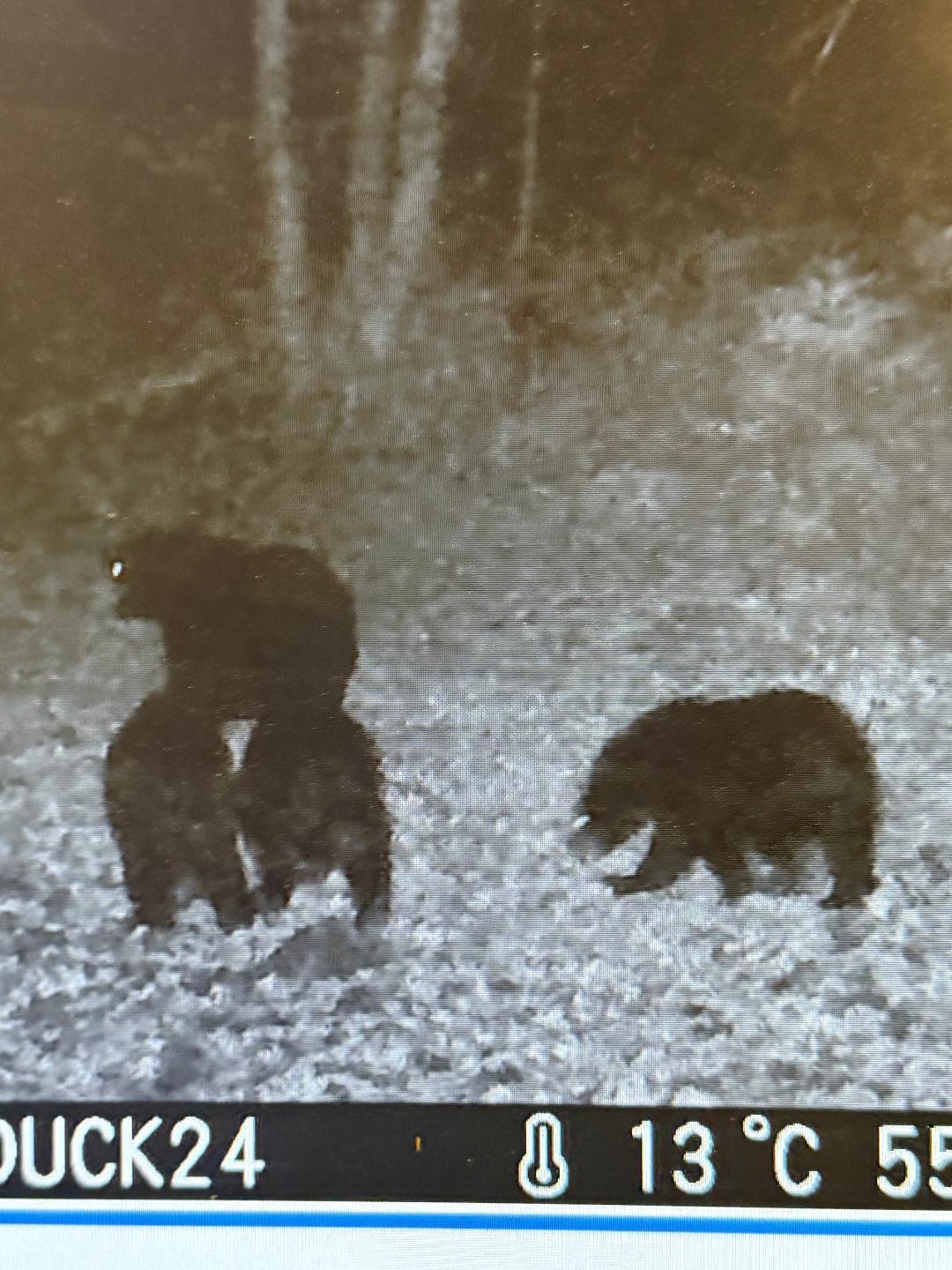 356 Co Road Daggett, MI 49821 - Photo 9 of 11