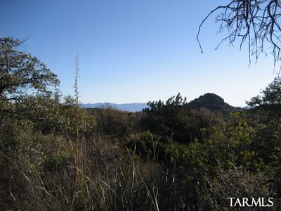 0 South Coronado Ridge Road, Unit 3 7ACRES Oracle, AZ 85623 - Photo 2 of 6