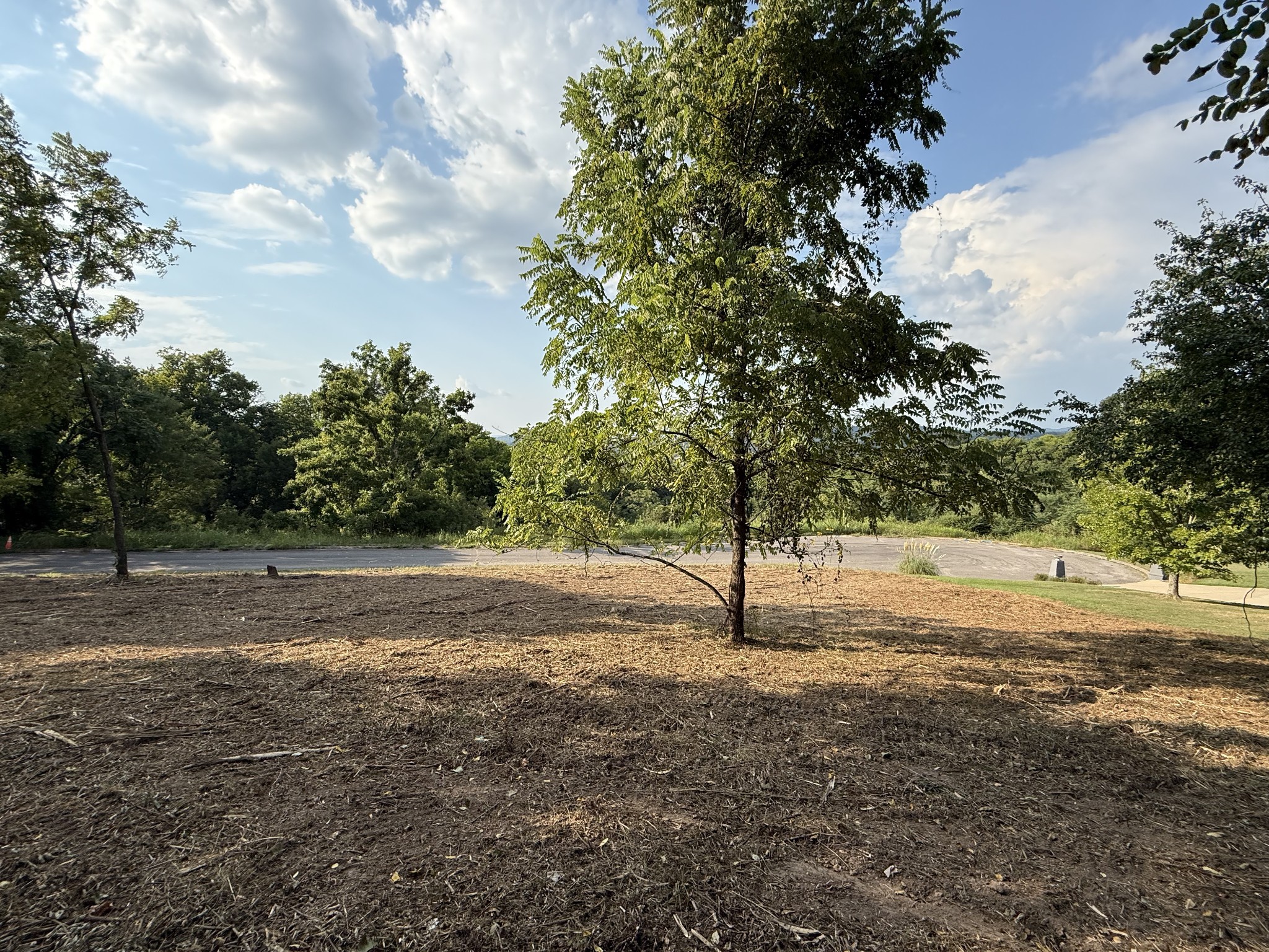 0 Deer Ridge Road Columbia, TN 38401 - Photo 11 of 34