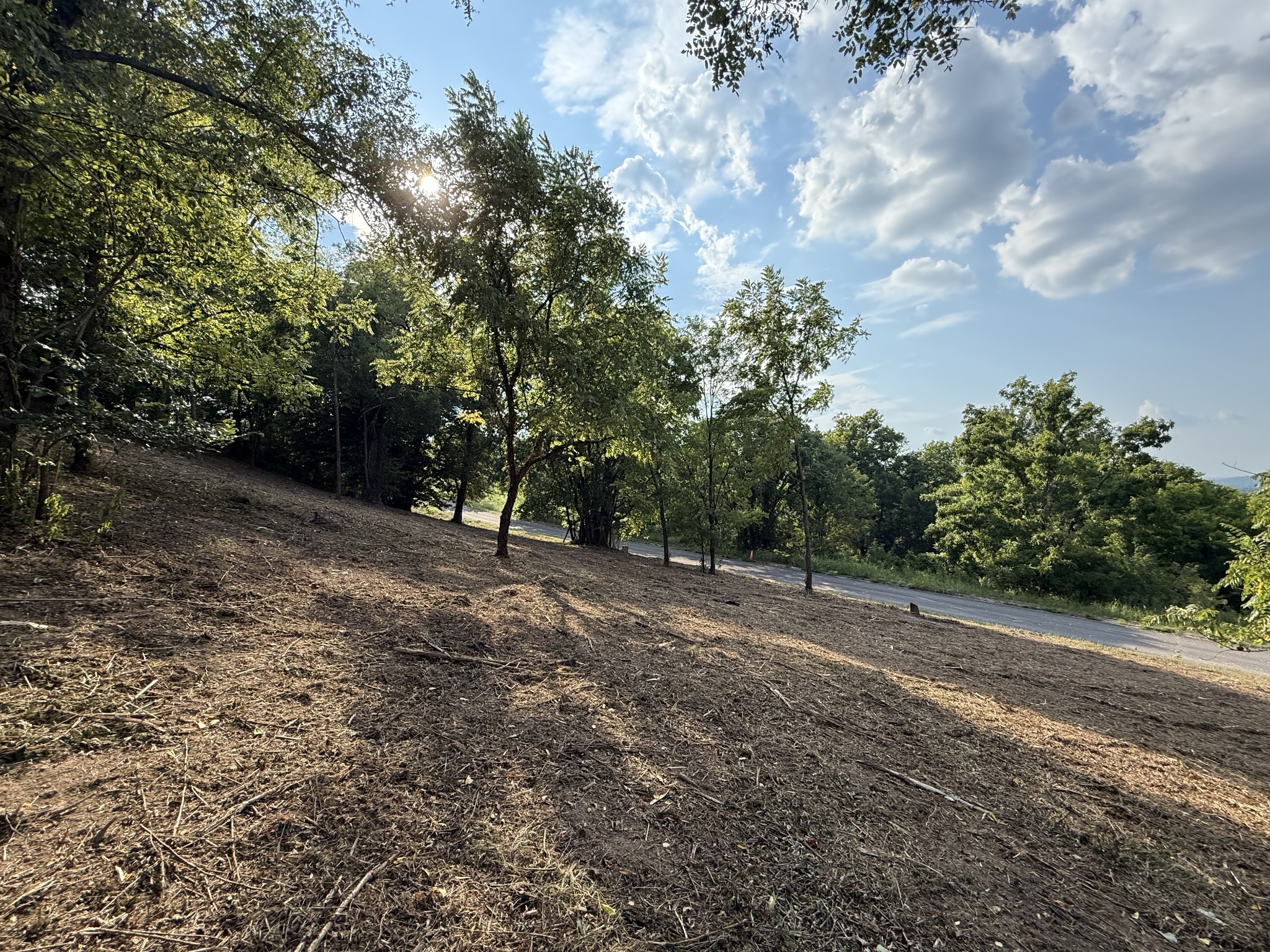 0 Deer Ridge Road Columbia, TN 38401 - Photo 12 of 34