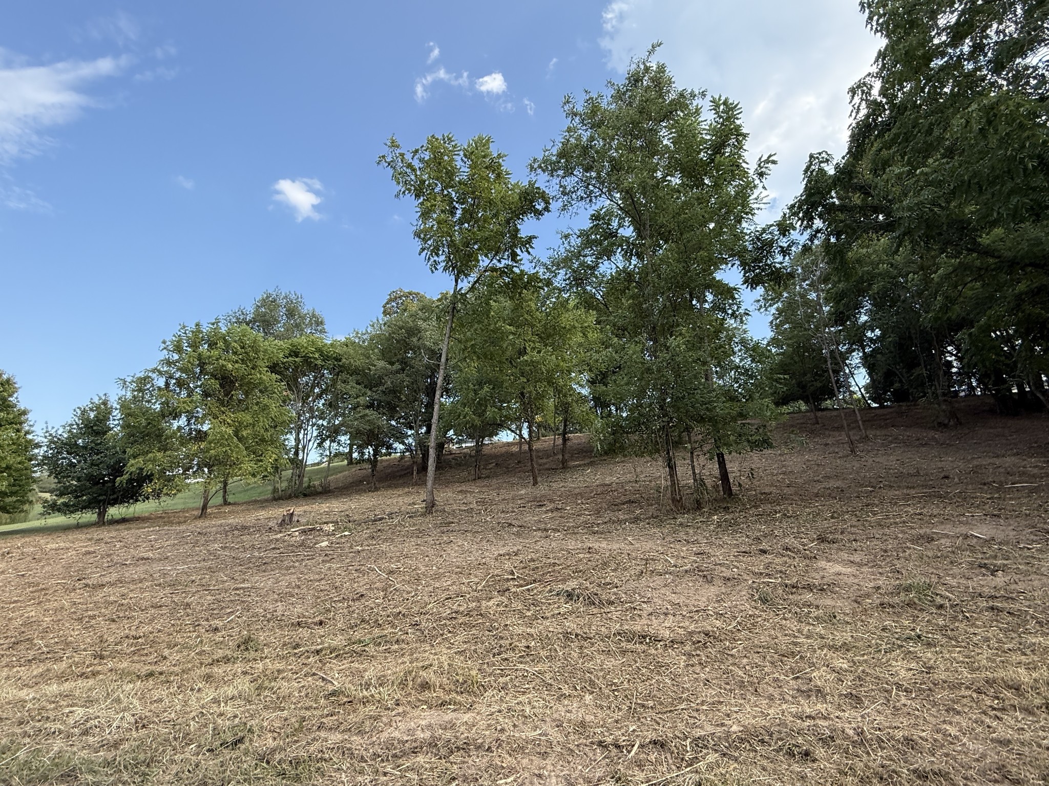 0 Deer Ridge Road Columbia, TN 38401 - Photo 16 of 34