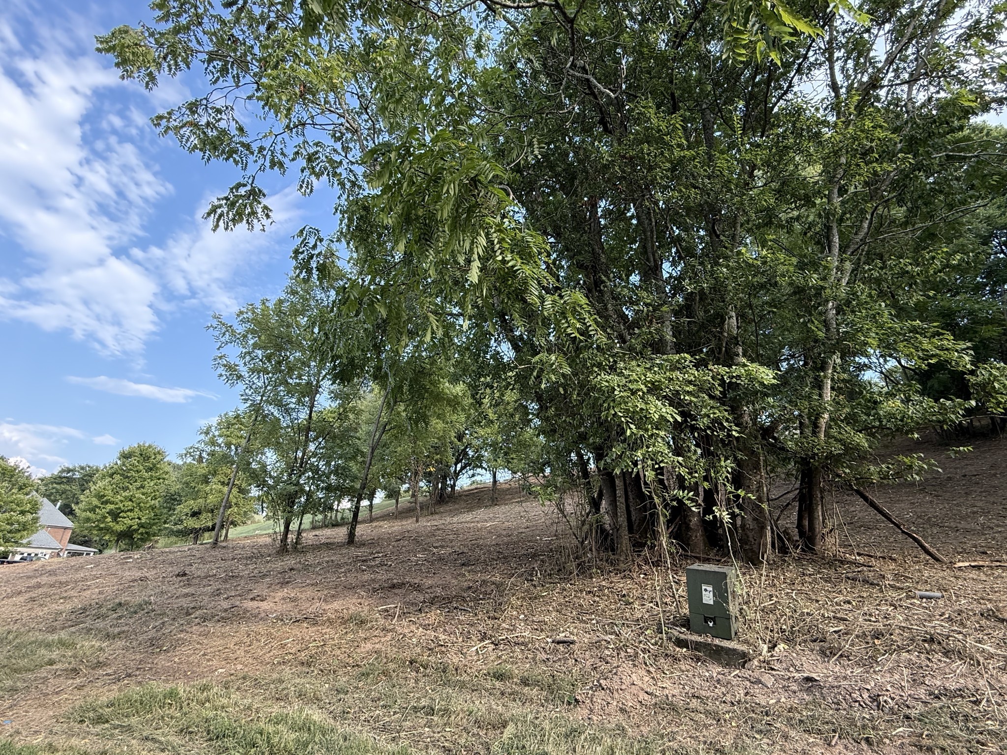 0 Deer Ridge Road Columbia, TN 38401 - Photo 17 of 34